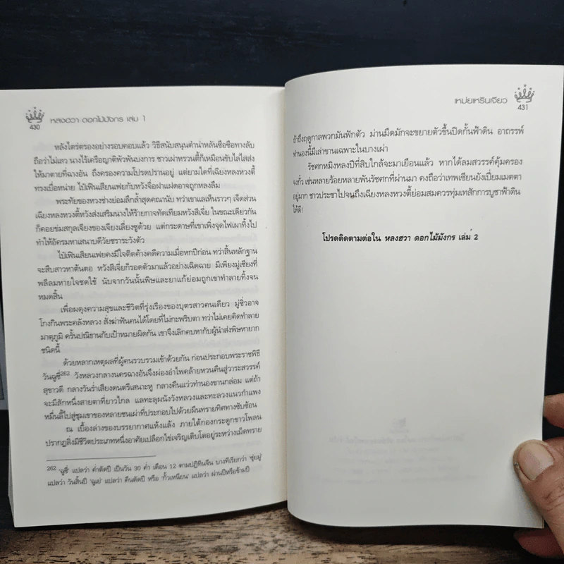 หลงฮวา ดอกไม้มังกร เล่ม 1 - เหม่ยเหรินเจียว รูปที่ 9