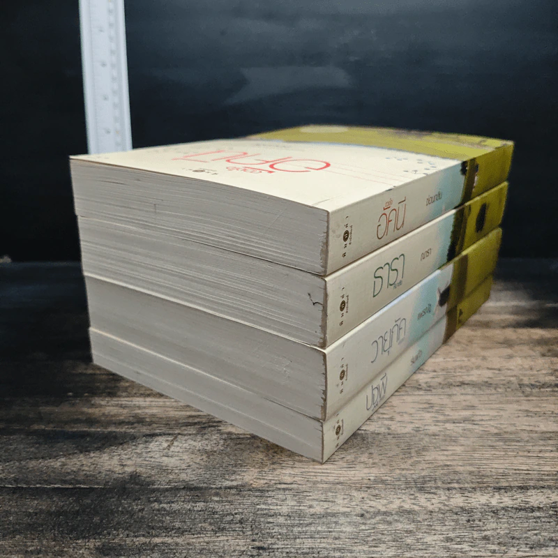 Boxset นิยายชุด บ้านไร่ปลายฝัน 4 เล่ม ได้แก่ ธาราหิมาลัย, ดวงใจอัคนี, ปฐพีเล่ห์รัก, วายุภัคมนตรา รูปที่ 6