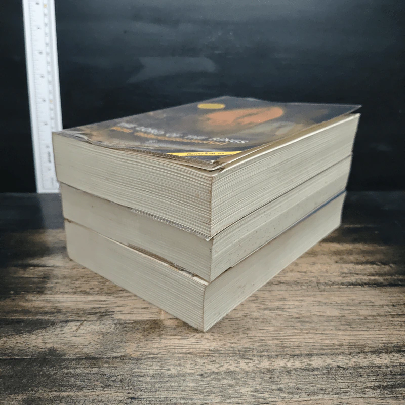 The Lord of the Rings ลอร์ด ออฟ เดอะ ริงส์ 3 เล่มจบ รูปที่ 3