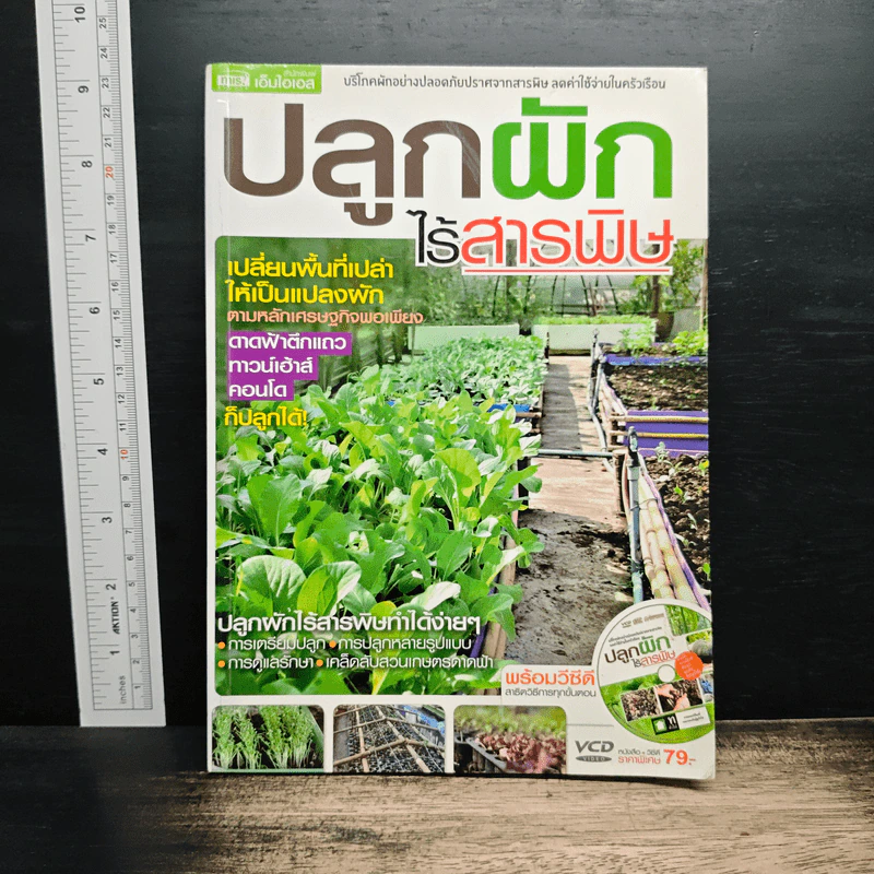ปลูกผักไร้สารพิษ รูปที่ 1