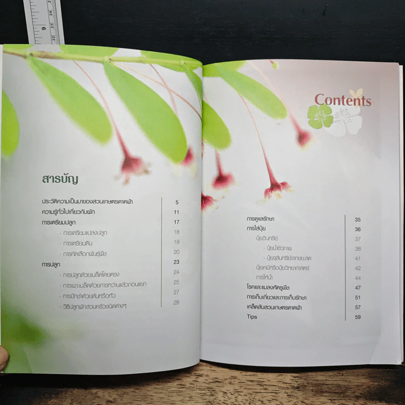 ปลูกผักไร้สารพิษ รูปที่ 7