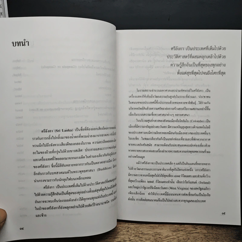 ศิลปะศรีลังกา - ปรีชา นุ่นสุข รูปที่ 8