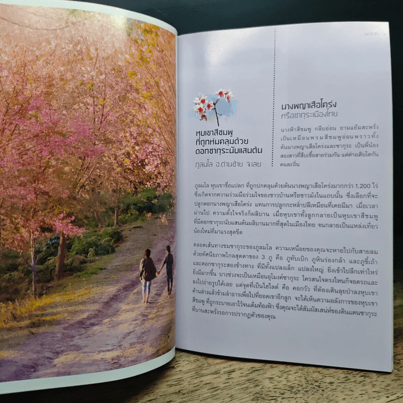 Dream Destinations 2 กาลครั้งนั้น...ความฝันผลิบาน - การท่องเที่ยวแห่งประเทศไทย รูปที่ 8