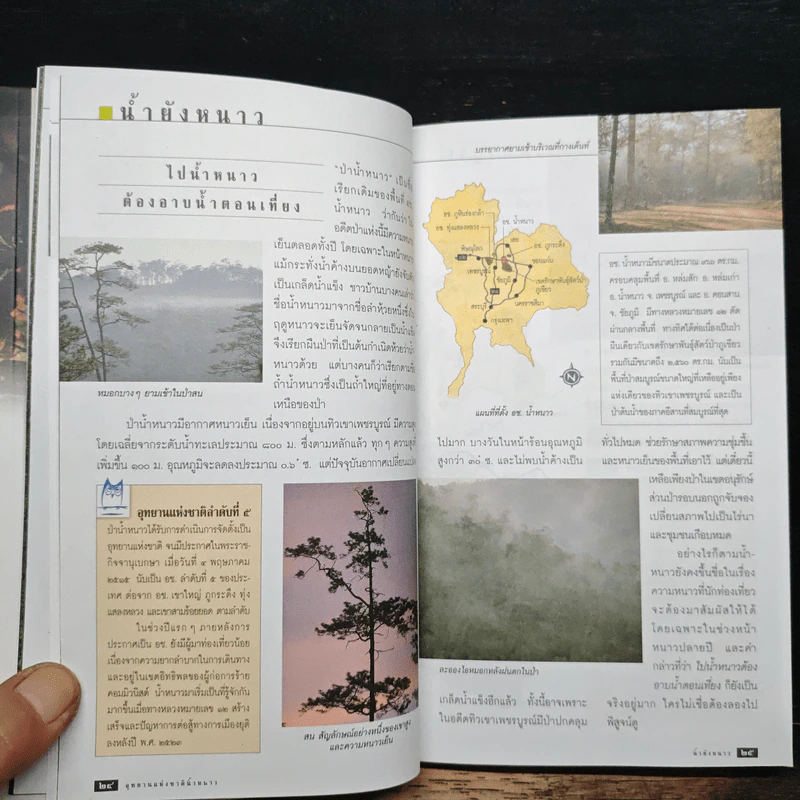 อุทยานแห่งชาติน้ำหนาว รูปที่ 9