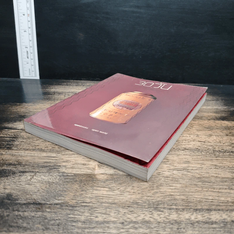 30 วัน เล่ม 3 เปิดโลกหนังสือ - ภิญโญ ไตรสุริยธรรมา รูปที่ 4