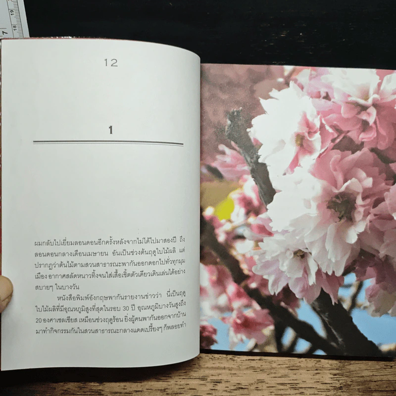 30 วัน เล่ม 3 เปิดโลกหนังสือ - ภิญโญ ไตรสุริยธรรมา รูปที่ 8