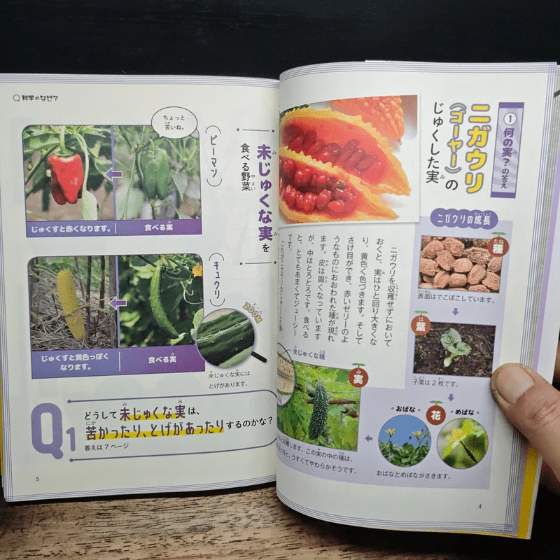 なぜ？どうして？科学のお話５年生 รูปที่ 8
