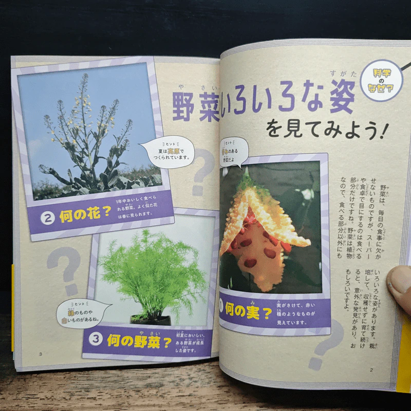 なぜ？どうして？科学のお話５年生 รูปที่ 7