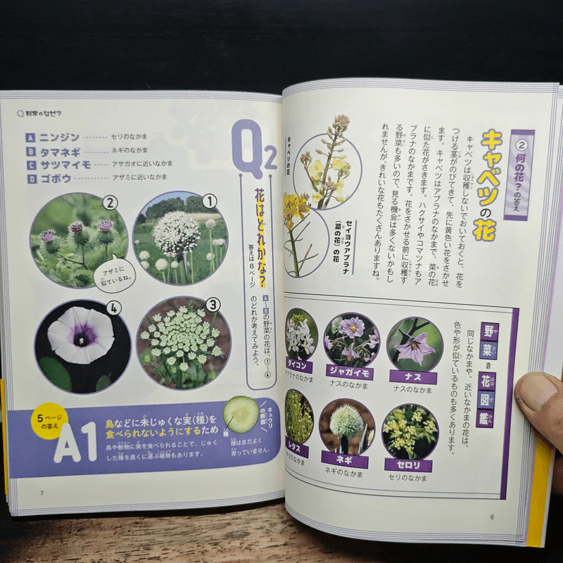 なぜ？どうして？科学のお話５年生 รูปที่ 9