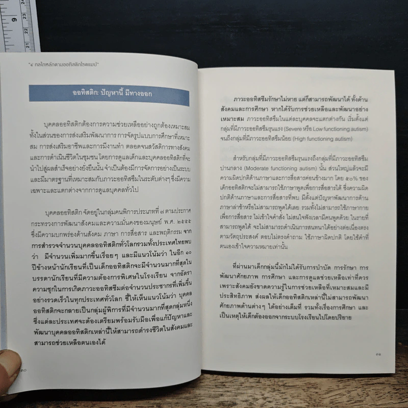 4 กลไกหลักตามออทิสติกโรดแมป รูปที่ 11