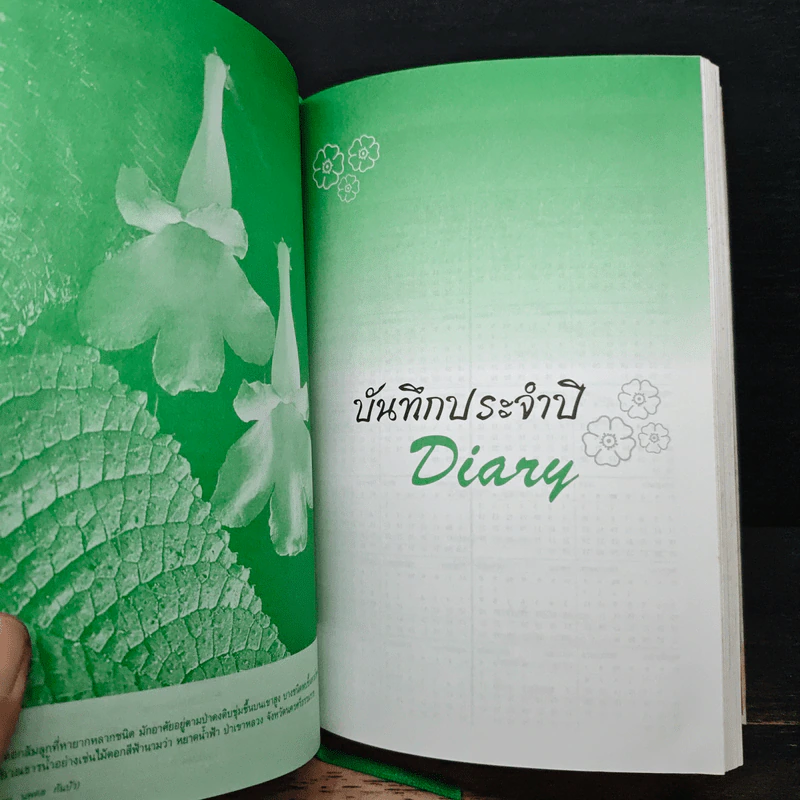 สวนหลวงของเรา รูปที่ 12