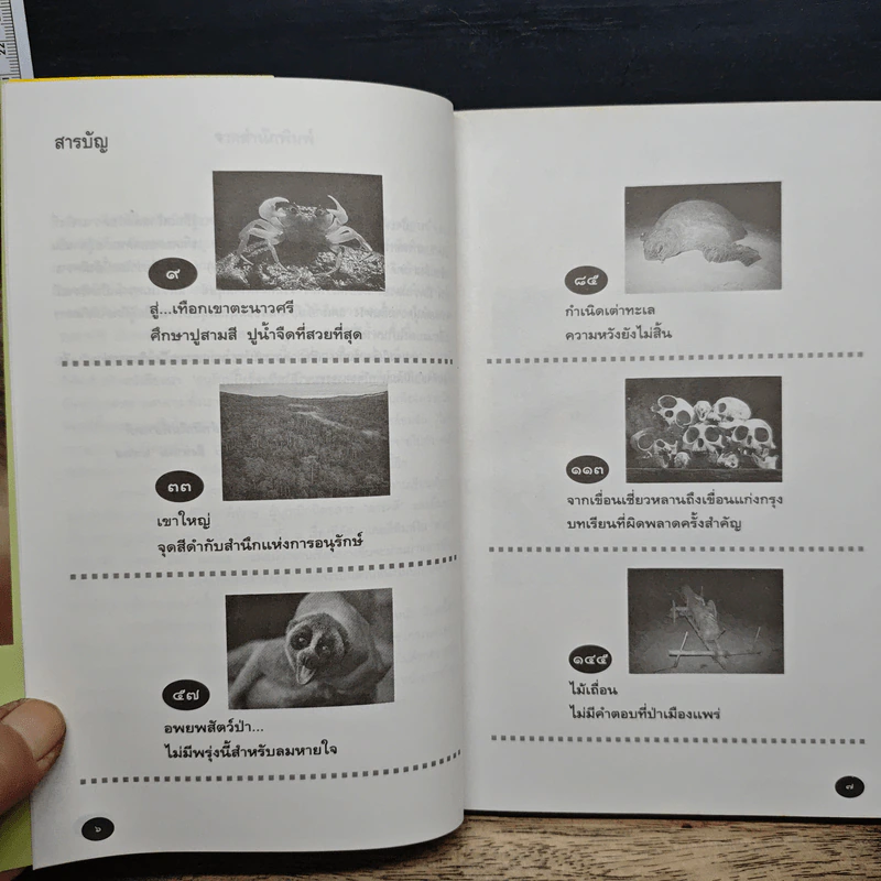 ก่อนจะไม่มีลมหายใจสำหรับพรุ่งนี้ - วัยชัย ตันติวิทยาพิทักษ์ รูปที่ 7