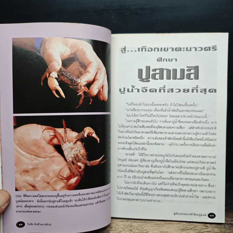 ก่อนจะไม่มีลมหายใจสำหรับพรุ่งนี้ - วัยชัย ตันติวิทยาพิทักษ์ รูปที่ 9
