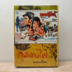 กุหลาบไฟ - พนมเทียม