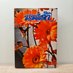 นพเก้า - อรชร