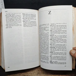 NTC's Dictionary of American Slang and Colloquial Expressions - Richard A. Spears รูปที่ 8