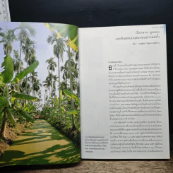 เพื่อความเข้าใจในแผ่นดิน ธนบุรี รูปที่ 8