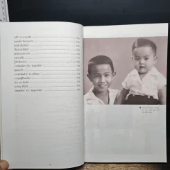 เทพชัย หย่อง : บทสุดท้ายทีวีเสรี รูปที่ 8