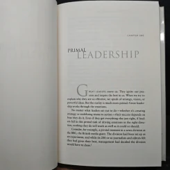 Primal Leadership - Daniel Goleman, Richard Boyatzis รูปที่ 10
