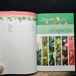 ไม้ประดับเพื่อสุขภาพ - วลี ลือประเสริฐ รูปที่ 9