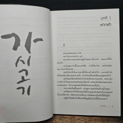 กาซิโกกิ - โจ ชางอิน, แฮจิน คิม รูปที่ 8
