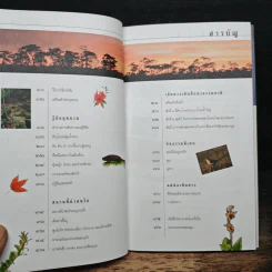 อุทยานแห่งชาติภูกระดึง รูปที่ 7