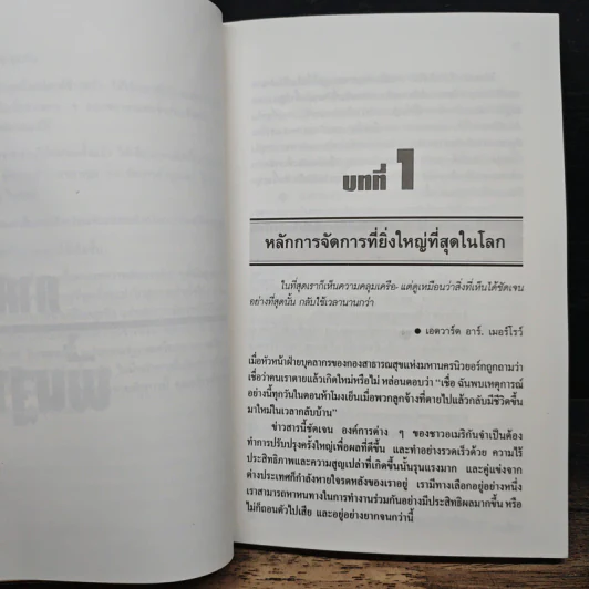 แรงจูงใจไฟแห่งการบริหาร - มิเชล เลอเบิฟ รูปที่ 9
