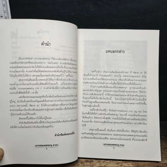 แกะรอยเพชรซาอุ ภาค 2 - พิฆาต 20 รูปที่ 7