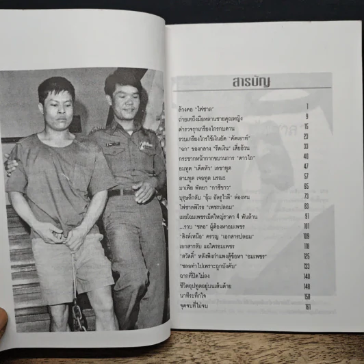 แกะรอยเพชรซาอุ - พิฆาต 20 รูปที่ 8