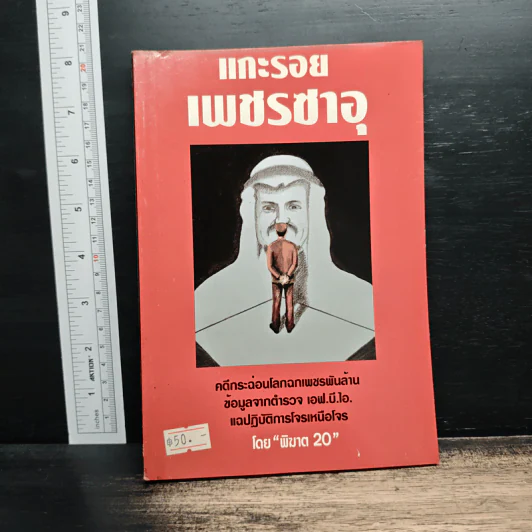 แกะรอยเพชรซาอุ - พิฆาต 20 รูปที่ 1