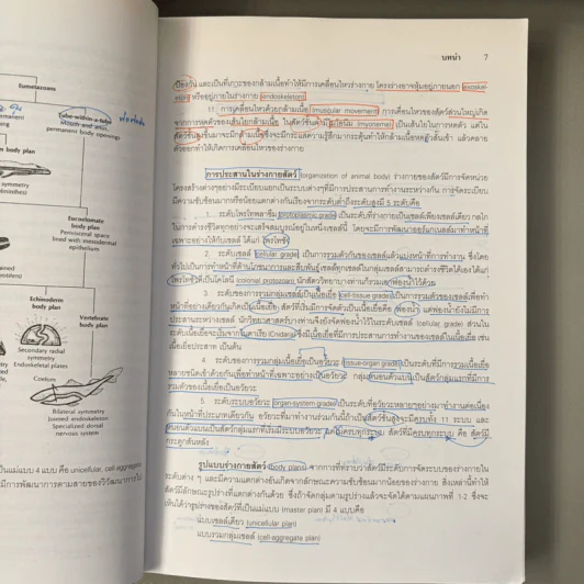 สัตววิทยา Zoology - รศ.บพิธ จารุพันธุ์, รศ.นันทพร จารุพันธุ์ รูปที่ 18