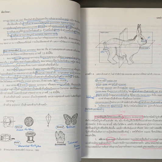 สัตววิทยา Zoology - รศ.บพิธ จารุพันธุ์, รศ.นันทพร จารุพันธุ์ รูปที่ 19