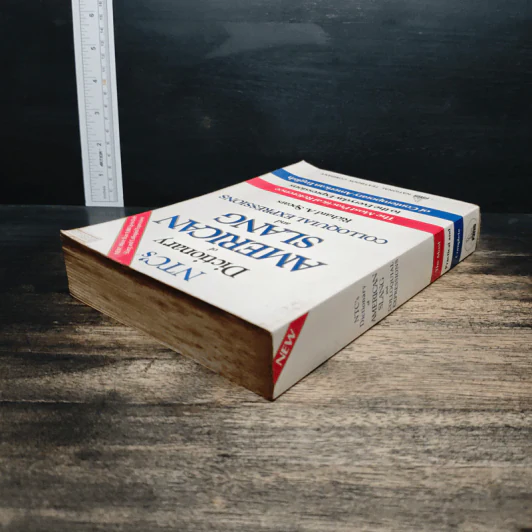 NTC's Dictionary of American Slang and Colloquial Expressions - Richard A. Spears รูปที่ 5