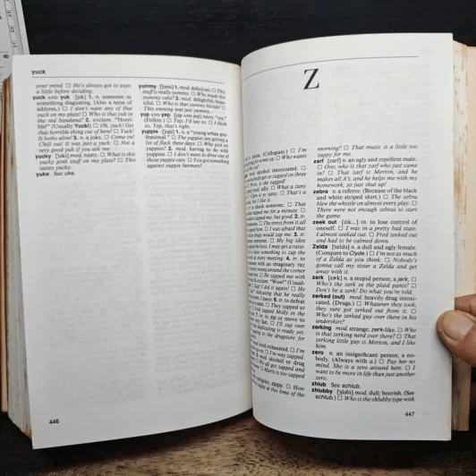 NTC's Dictionary of American Slang and Colloquial Expressions - Richard A. Spears รูปที่ 8