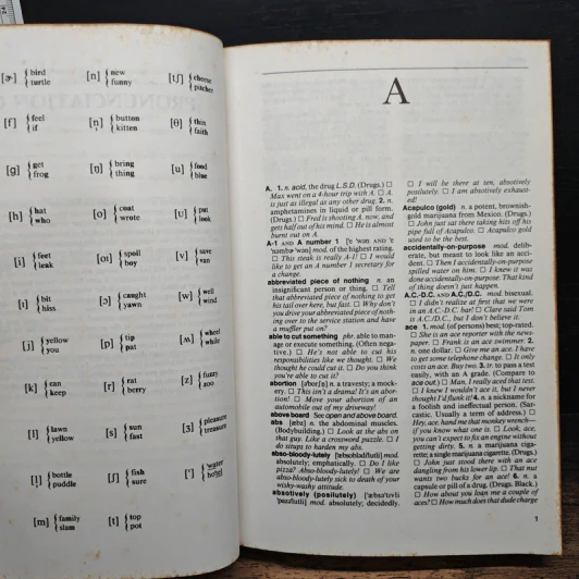 NTC's Dictionary of American Slang and Colloquial Expressions - Richard A. Spears รูปที่ 7