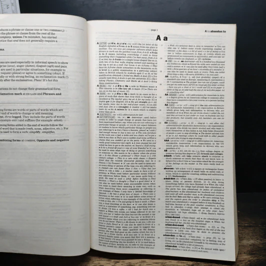 Cambridge International Dictionary of English รูปที่ 9