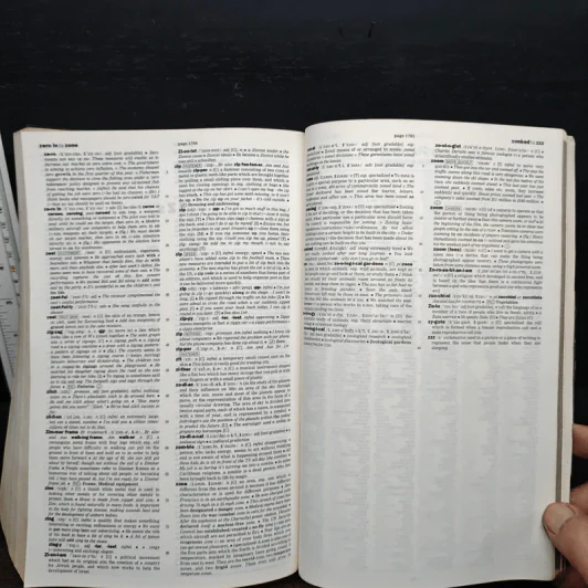 Cambridge International Dictionary of English รูปที่ 10