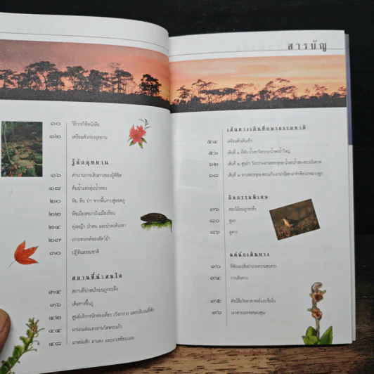 อุทยานแห่งชาติภูกระดึง รูปที่ 7
