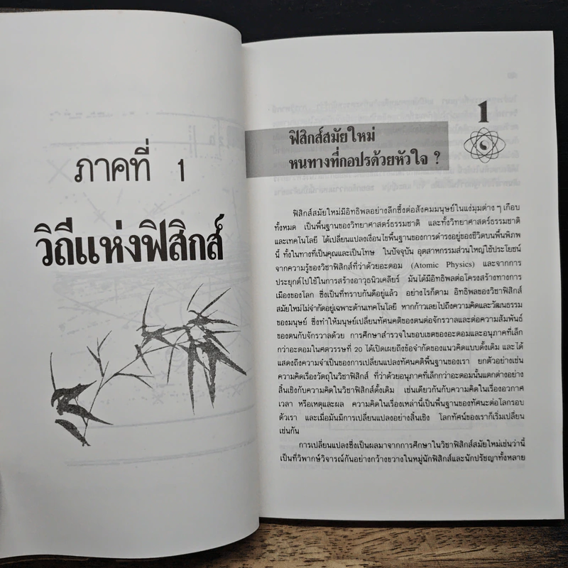 เต๋าแห่งฟิสิกส์ - ฟริตจอฟ คาปรา รูปที่ 8