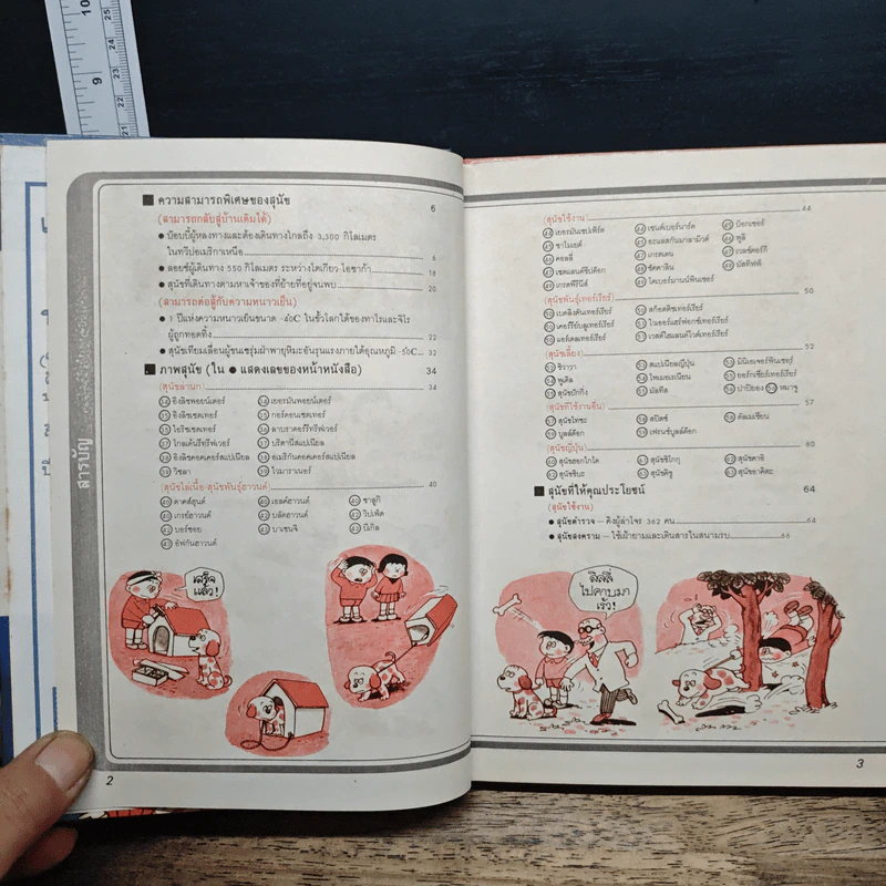 รู้รอบตัวแสนสนุก 7 โลกของสุนัข รูปที่ 7