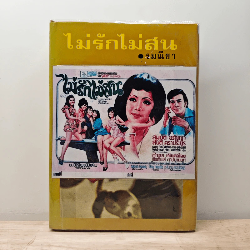 ไม่รักไม่สน - รมณียา รูปที่ 1