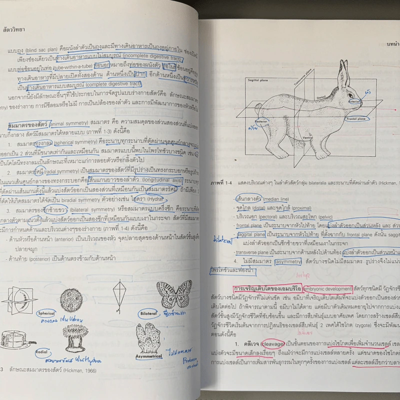 สัตววิทยา Zoology - รศ.บพิธ จารุพันธุ์, รศ.นันทพร จารุพันธุ์ รูปที่ 19