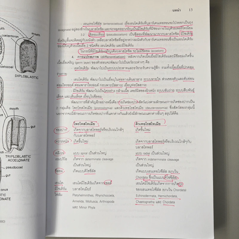 สัตววิทยา Zoology - รศ.บพิธ จารุพันธุ์, รศ.นันทพร จารุพันธุ์ รูปที่ 20