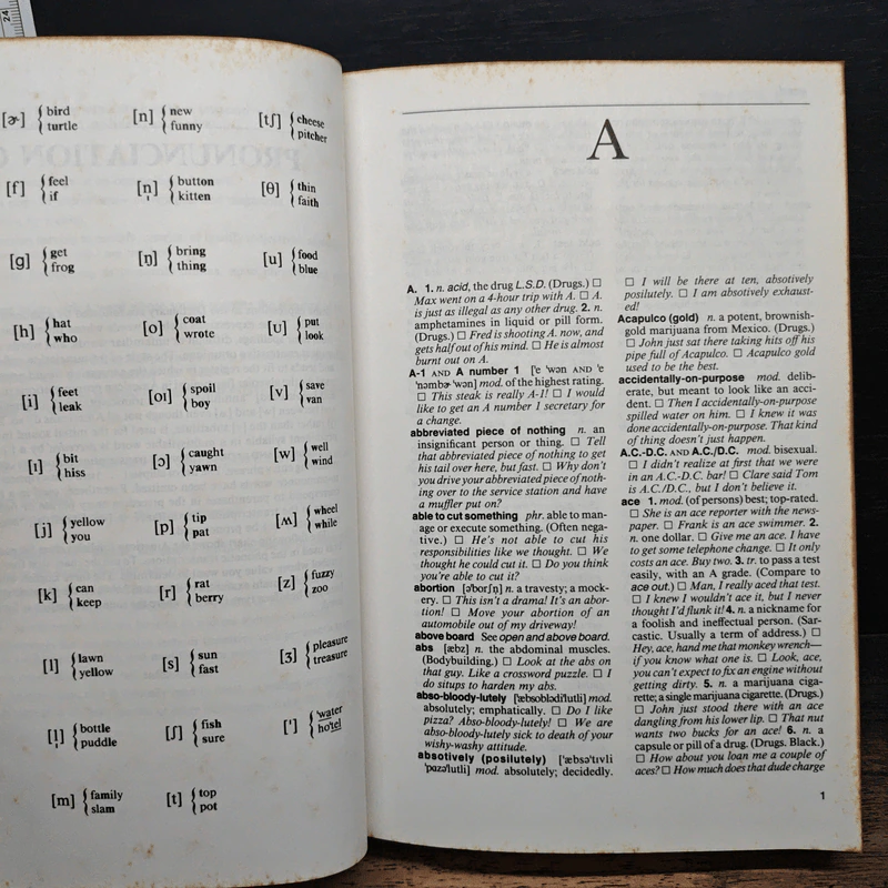 NTC's Dictionary of American Slang and Colloquial Expressions - Richard A. Spears รูปที่ 7