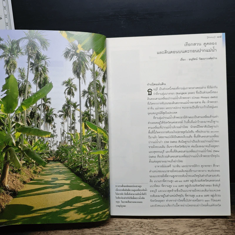 เพื่อความเข้าใจในแผ่นดิน ธนบุรี รูปที่ 8