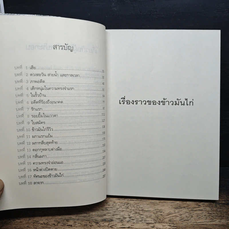 เรื่องราวของข้าวมันไก่ - วาสึเทพ เกตุเพ็ชร รูปที่ 8