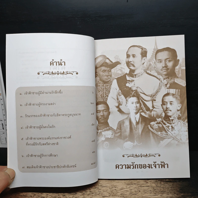 ความรักของเจ้าฟ้า - เวนิสา เสนีวงศ์ฯ รูปที่ 7