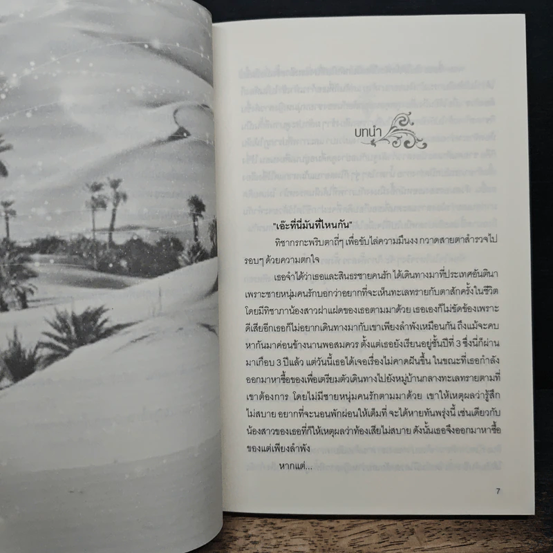 เชลยรักชีค - พิมตะวัน รูปที่ 7