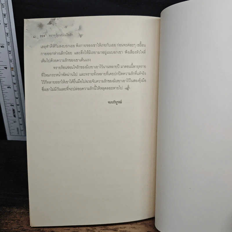 ทรายร้อนซ่อนใจรัก - สุขุมาล รูปที่ 8