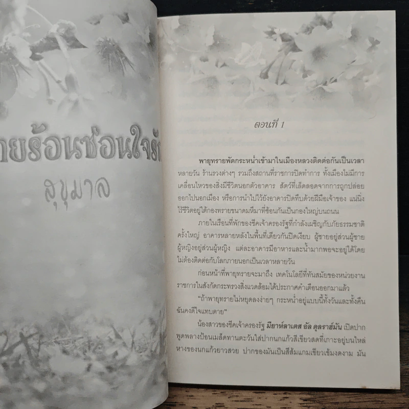 ทรายร้อนซ่อนใจรัก - สุขุมาล รูปที่ 7